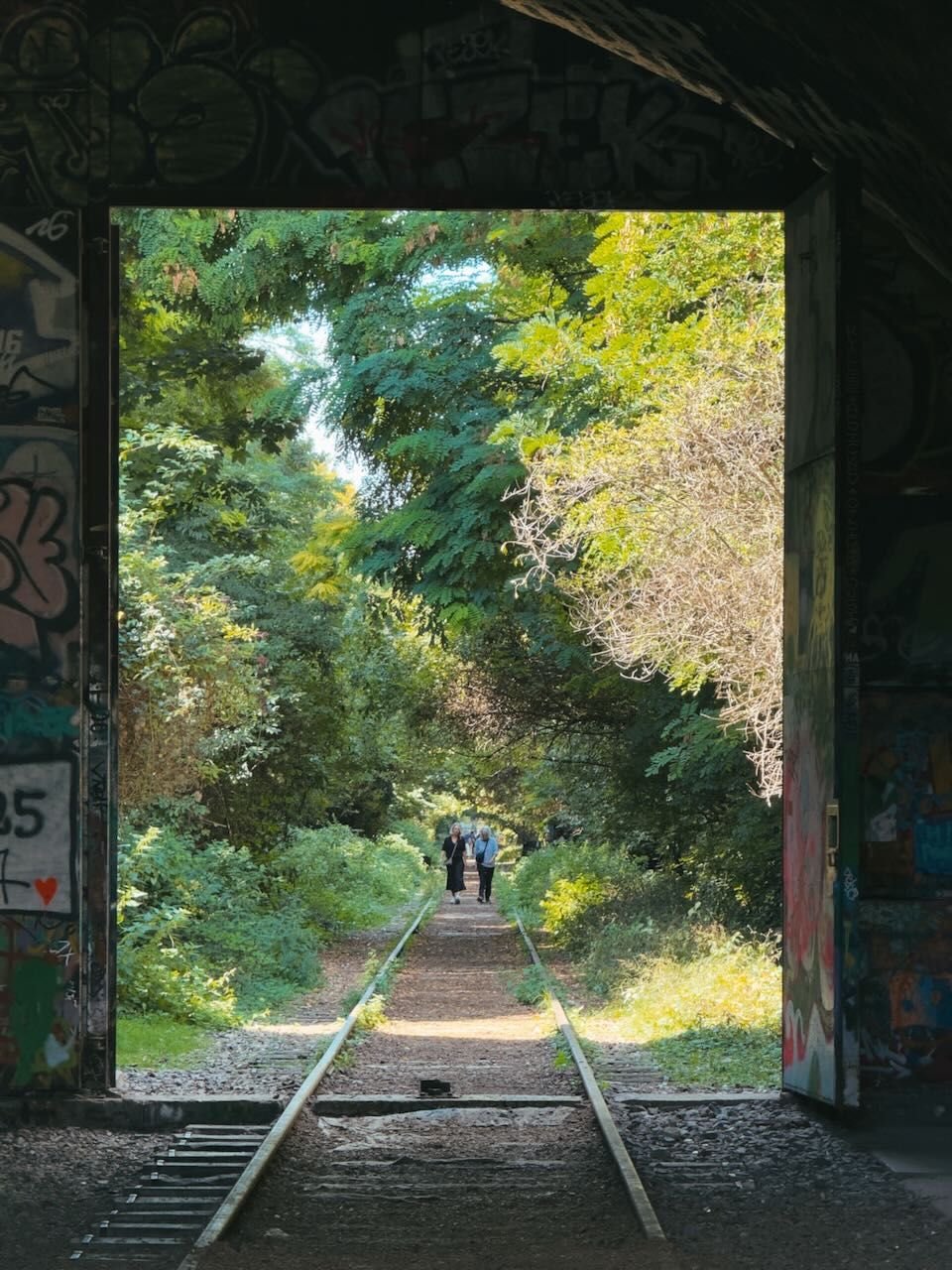 2025-08-12_6506ACD3E079_fav